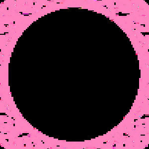 Meet your Posher, Isabella